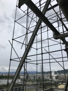 image1.JPG